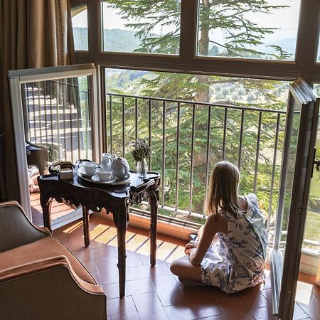 Готель Torre A Cona Wine Estate San Donato in Collina Екстер'єр фото