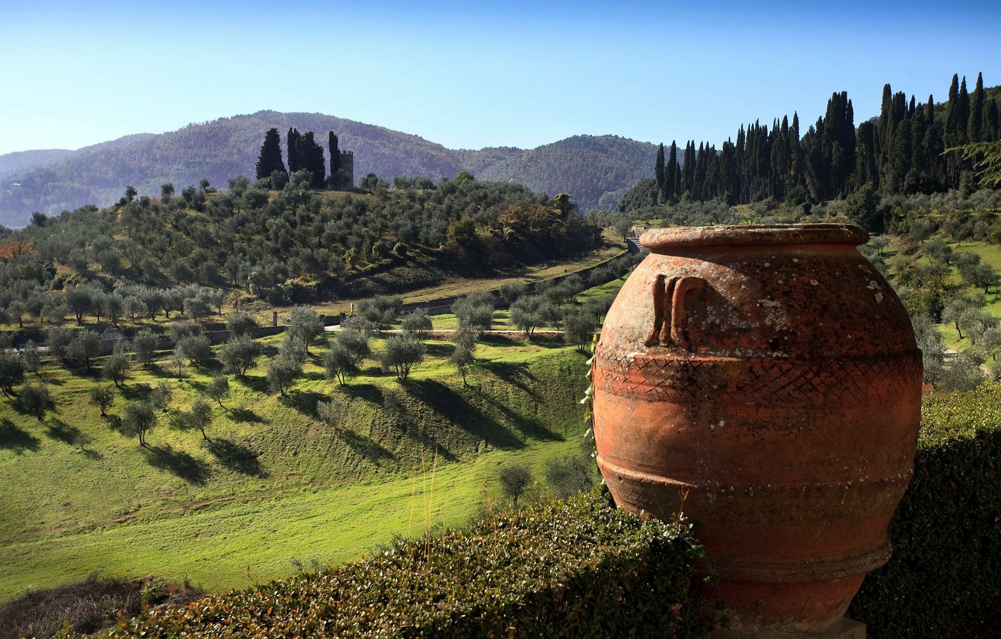 Готель Torre A Cona Wine Estate San Donato in Collina Екстер'єр фото